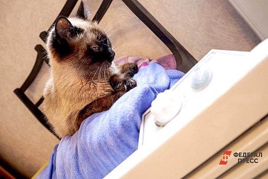 В Ленобласти продлят отопительный сезон на майские праздники из-за похолодания