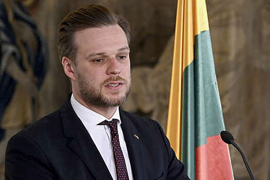 Глава МИД Литвы Ландсбергис призвал "не отвлекаться" после теракта в "Крокусе"