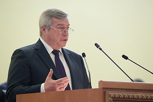 Донской губернатор огласил ежегодное инвестиционное послание