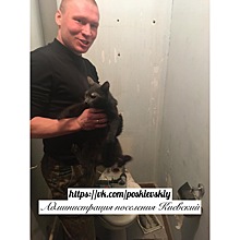 В поселении Киевский спасли кота, застрявшего в вентиляции жилого дома