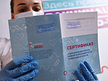 ЕС предложил Минздраву России обсудить сотрудничество по коронавирусным сертификатам
