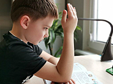 В Нижегородской области на карантин по COVID-19 закрыли 113 классов