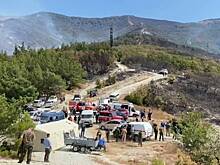 Пожар в Геленджике полностью ликвидировали