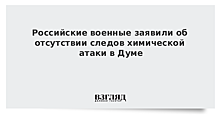 Российские военные заявили об отсутствии следов химической атаки в Думе