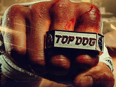 Промоушен кулачных боёв Top Dog – российский ответ BKFC