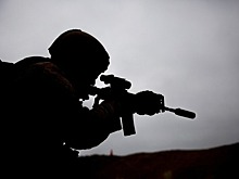 «РФ наступает»: выяснилось, ради чего Зеленский бросил западных друзей и бежал в Киев