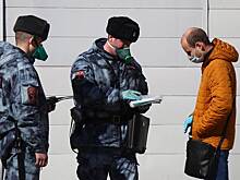 Вводить пропуска для пешеходов в столице не планируется