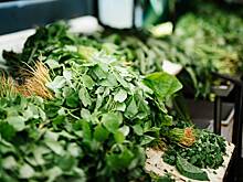 Врачи перечислили четыре полезных для иммунитета продукта