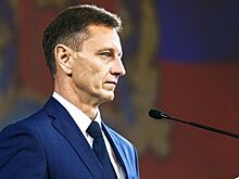 Владимирский губернатор отказался увольняться из-за дела Фургала
