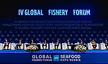 Ростовская область находится на первом месте в ЮФО по производству товарной рыбы