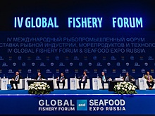 Ростовская область находится на первом месте в ЮФО по производству товарной рыбы