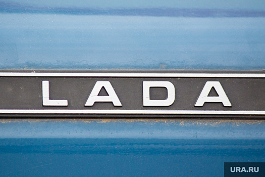 В свердловском селе женщина из ревности разбила машину палкой