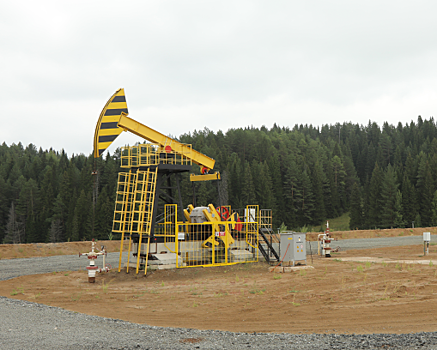 В Удмуртии на Чутырско-Киенгопском газонефтяном месторождении проведут обустройство после бурения