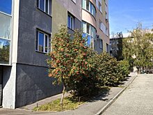 Следователи проводят проверку по факту смерти подростка на Тамбовской