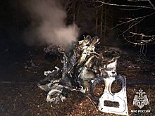 Власти Кировской области назвали имена погибших при крушении вертолета