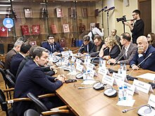 В Госдуме обсудили направления поддержки отечественных разработчиков ИИ