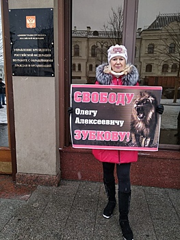 Пикеты после ареста Зубкова начались в городах России