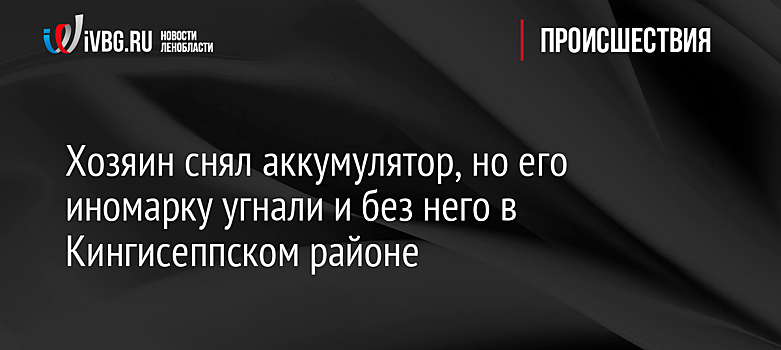 Хозяин снял аккумулятор, но иномарку угнали и без него в Кингисеппском районе
