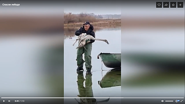 Люди в погонах в Чесменском районе спасли лебедя из ледяного плена
