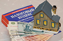 Новый налог в России: сколько будут платить школьники и дачники?
