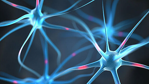 Ученые разработали биоморфную модель нейрона для имитации работы мозга