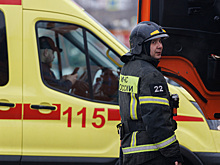 При пожаре в селе Удмуртии погибли двое взрослых и малолетний ребенок