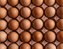 В России выступили против упрощения поставок яиц в страну