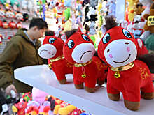 Грустная игрушечная лошадь из-за брака стала новогодним хитом в Китае