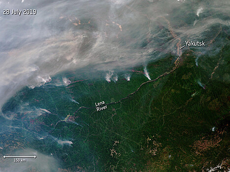 Дым от неконтролируемых лесных пожаров в Сибири дошел до Монголии. Вскоре он может накрыть и Москву. Масштаб пожаров виден из космоса (ФОТО)