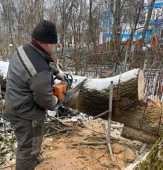 В Курске убирают деревья, поваленные ветром на историческом Никитском кладбище