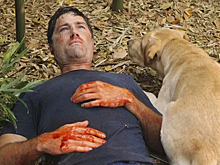 Названы сериалы с худшими в истории концовками