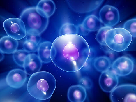 Стволовые клетки: что нужно знать