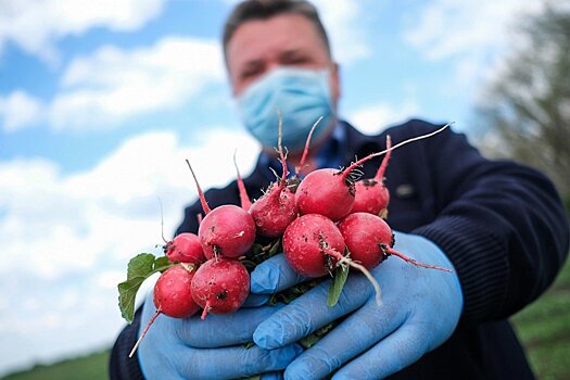 Россия прекратила экспорт органической продукции