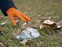 Россиян предупредили о разорительных штрафах за мусор