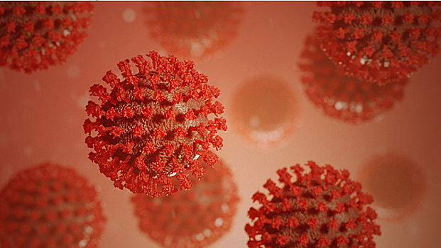 Вирус, выявленный в Пекине, возможно имеет европейское происхождение