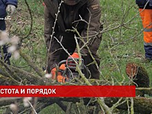 В Кумженской роще провели городской субботник