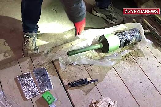 Агент СБУ раскрыл способ провоза мины в Крым для теракта