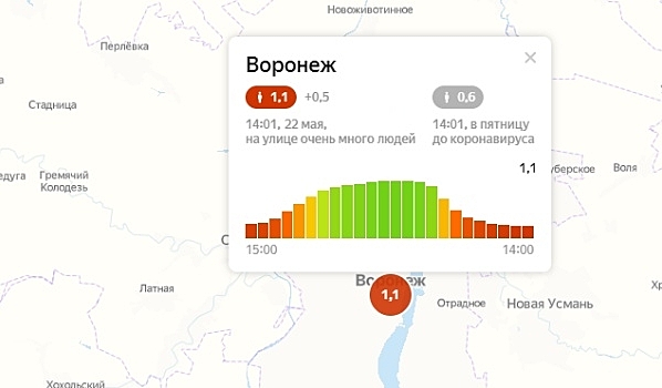 В пятницу индекс самоизоляции в Воронеже упал до рекордно низкого значения