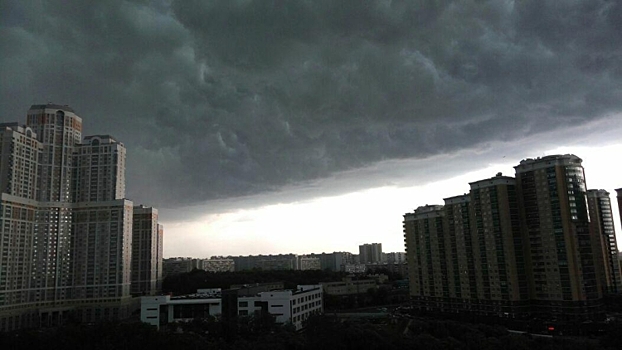 Жителей Москвы и области предупредили о надвигающемся шторме