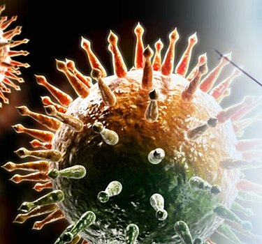 Нужна ли прививка от коронавируса для поездки в Крым в 2021 году