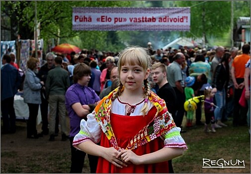«Древо жизни»: столица вепсов в Ленобласти вновь принимает гостей