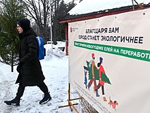 Акция "Елочный круговорот" по сбору новогодних елей начнется в Москве 2 января