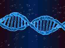 Ученые нашли новый способ диагностики диабета