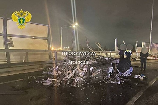 После ДТП, в котором погиб криптобизнесмен Долгих, из его машины исчезла собака