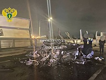 После ДТП, в котором погиб криптобизнесмен Долгих, из его машины исчезла собака