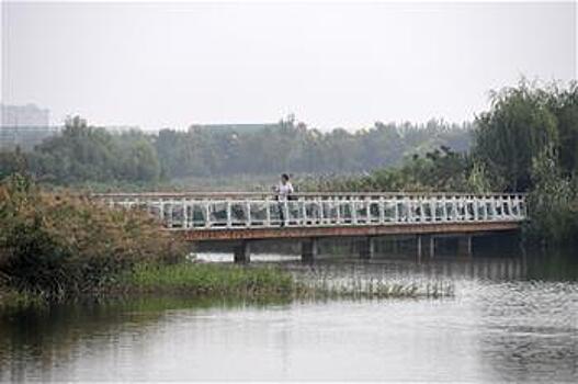 Китайско-сингапурский экологический город в Тяньцзине -- "Всемирный зеленый город"