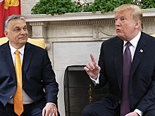 Американист объяснил встречу Трампа и Орбана во Флориде
