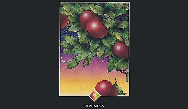 Источники утверждают, что Wildberries находится в процессе приобретения туроператора Fun&Sun