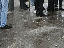В реагентах для борьбы с гололедом увидели угрозу
