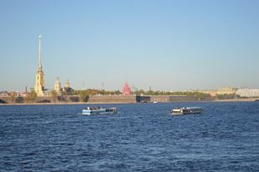 Мутко назвал атакой на Россию заявление Bild об аккредитации на КК-2017